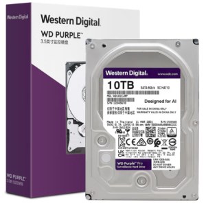 西数 监控级硬盘10TB