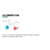 青岛邦凯 WAX固相萃取柱 150mg/6ml 30支/盒