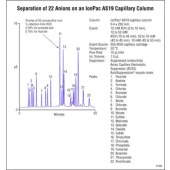 赛默飞 Dionex™ IonPac™ AS19 IC 色谱柱 4*250mm 货号062885